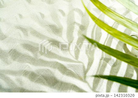 Green palm leaf casting a striped shadow on fine white sand, creating a tropical summer background. Summer, natural or texture background Green palm leaf casting a striped shadow on fine white sand, creating a tropical summer background. Summer, natural or texture background 142310320