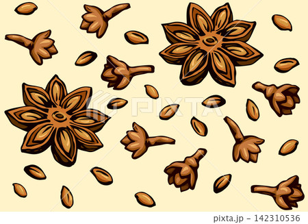Anise. Vector drawing 142310536