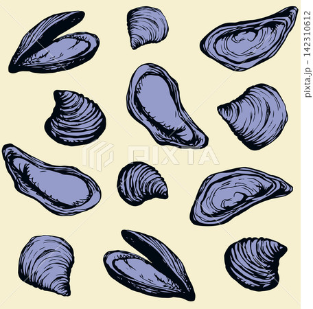 Oyster. Vector drawing Oyster. Vector drawing 142310612