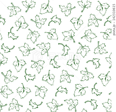 Parsley. Vector background Parsley. Vector background 142310615