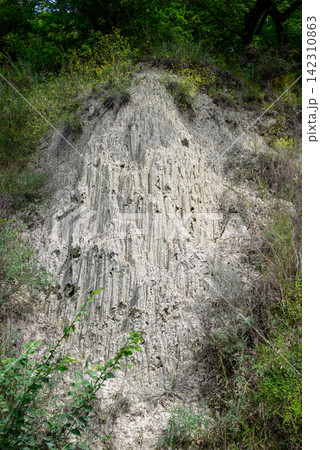 A steep, eroded hillside composed of light gray soil with vertical striations and numerous cracks A steep, eroded hillside composed of light gray soil with vertical striations and numerous cracks 142310863