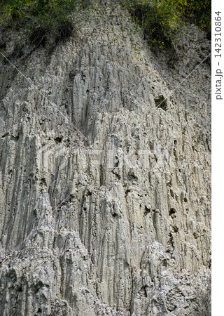A rugged cliff face with intricate vertical patterns of erosion A rugged cliff face with intricate vertical patterns of erosion 142310864