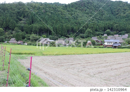 京都府美山のかやぶきの里の新緑風景と田園風景 142310964