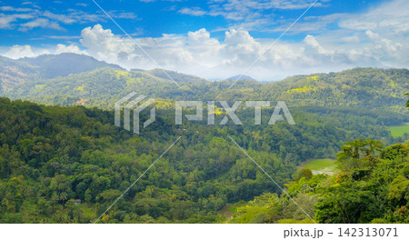 Scenic View of Lush Tropical Rainforest Mountains Under Sunny Blue Sky Majestic Mountain Landscape Covered with Green Tropical Forest Scenic View of Lush Tropical Rainforest Mountains Under Sunny Blue Sky Majestic Mountain Landscape Covered with Green Tropical Forest 142313071