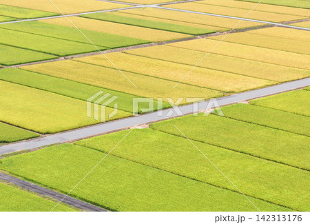 田園風景 田園風景 142313176