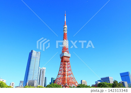 東京都港区、東京タワーと新緑の風景 東京都港区、東京タワーと新緑の風景 142313348