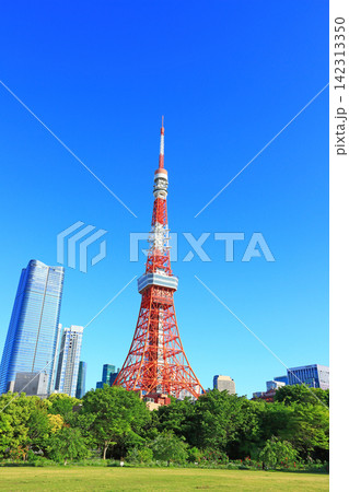 東京都港区、東京タワーと新緑の風景 東京都港区、東京タワーと新緑の風景 142313350
