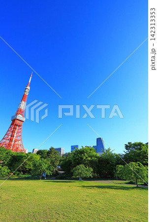 東京都港区、東京タワーと新緑の風景 142313353