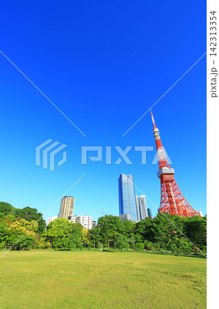 東京都港区、東京タワーと新緑の風景 東京都港区、東京タワーと新緑の風景 142313354