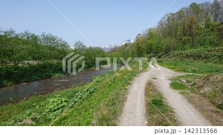 川沿の田園風景 川沿の田園風景 142313566
