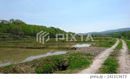北海道の田んぼ 142313673