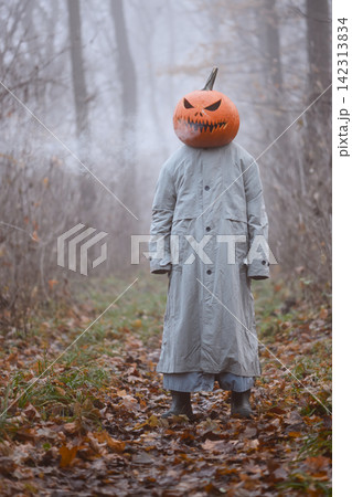 Scarecrow with a jack o lantern head standing motionless in a foggy forest Scarecrow with a jack o lantern head standing motionless in a foggy forest 142313834