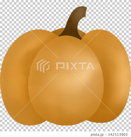 Pumpkin hand drawn illustration Pumpkin hand drawn illustration 142313903