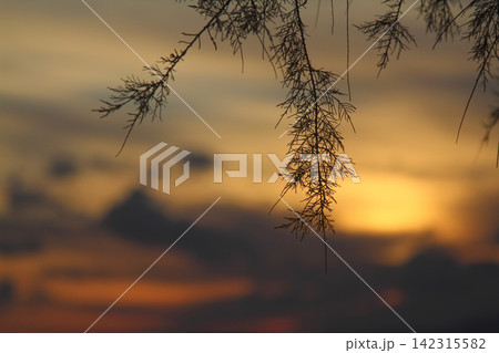 Seaside town of Turgutreis and spectacular sunsets Seaside town of Turgutreis and spectacular sunsets 142315582