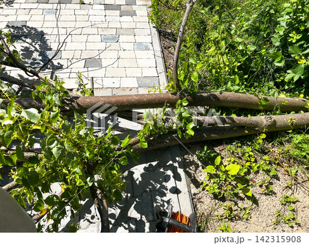 Fallen tree blocking rural road after storm. Man sawing trunk to clear passage for cars and neighbors. Country life, handling natures disruptions Fallen tree blocking rural road after storm. Man sawing trunk to clear passage for cars and neighbors. Country life, handling natures disruptions 142315908