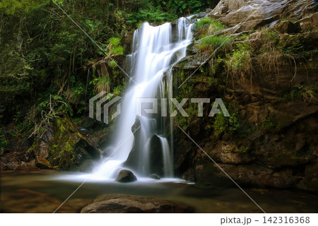 Waterfall Waterfall 142316368