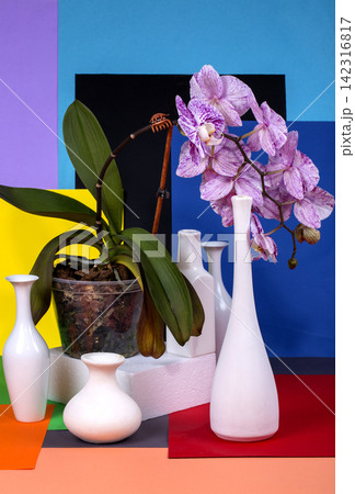 Indoor flowers and white vases on an abstract background Indoor flowers and white vases on an abstract background 142316817