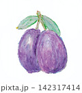 クレヨンで描いたプルーンの実 142317414