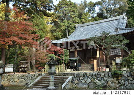 安祥寺 秋季 観音堂とモミジ(京都市山科区) 安祥寺 秋季 観音堂とモミジ(京都市山科区) 142317915