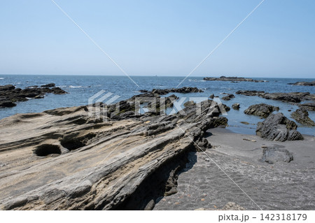 夏の神奈川県三浦半島  城ヶ島の磯の風景 142318179