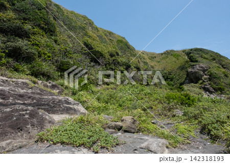 夏の神奈川県三浦半島 城ヶ島海岸岬の風景 夏の神奈川県三浦半島 城ヶ島海岸岬の風景 142318193