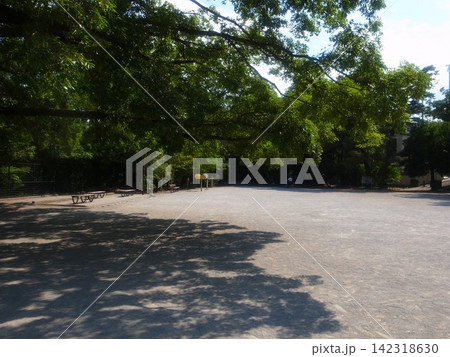 武蔵関公園 142318630