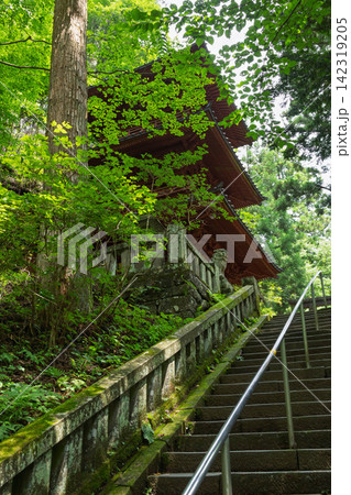 榛名神社 長い参道の途中にある三重塔 榛名神社 長い参道の途中にある三重塔 142319205