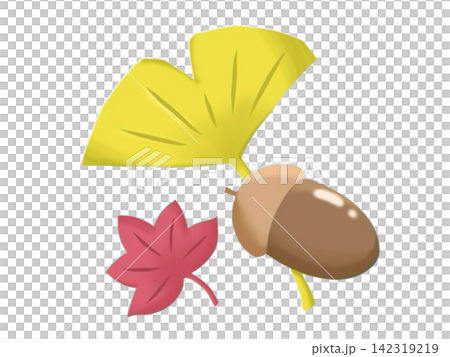Ginkgo, maple leaves, and acorns – all symbols of autumn. Ginkgo, maple leaves, and acorns – all symbols of autumn. 142319219