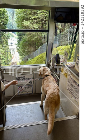 御岳山のケーブルカーに乗る犬 御岳山のケーブルカーに乗る犬 142319392