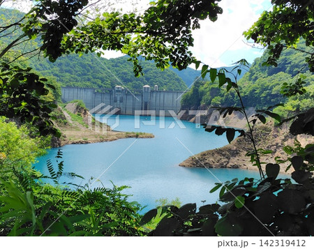 木々の間から望む巨大な四万川ダムと美しいダム湖の景観 木々の間から望む巨大な四万川ダムと美しいダム湖の景観 142319412