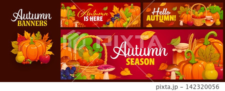 Autumn season holiday banners with fall season quotes and leaves foliage, pumpkins and mushrooms. Vector festive Thanksgiving background for market or fair harvest celebration and hello fall greeting Autumn season holiday banners with fall season quotes and leaves foliage, pumpkins and mushrooms. Vector festive Thanksgiving background for market or fair harvest celebration and hello fall greeting 142320056