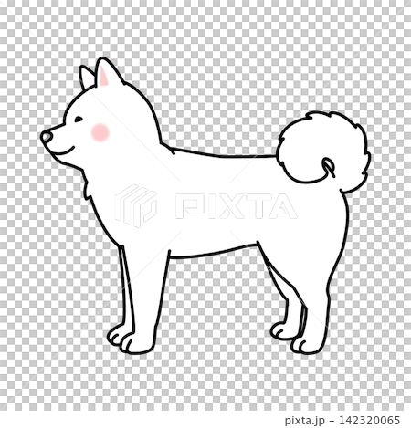 Vector illustration of a Hokkaido dog (full body, side view). Vector illustration of a Hokkaido dog (full body, side view). 142320065