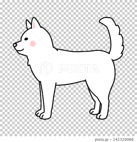 紀州犬的向量插圖(全身像,側視圖) 紀州犬的向量插圖(全身像,側視圖) 142320066