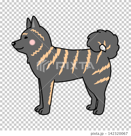 甲斐犬的向量插圖(全身像,側面視圖) 甲斐犬的向量插圖(全身像,側面視圖) 142320067