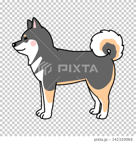 Vector illustration of a Shikoku dog (full body, side view) Vector illustration of a Shikoku dog (full body, side view) 142320068