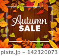 Autumn sale banner and discount poster on wooden background with fall season leaves frame. Vector seasonal advertisement promotion, special offer coupon with colorful forest foliage on wood backdrop 142320073
