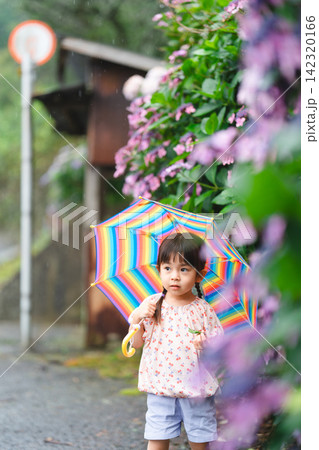 梅雨の子供 梅雨の子供 142320166