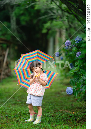 梅雨の子供 梅雨の子供 142320169