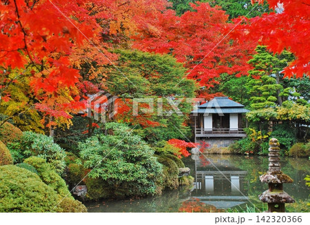 紅葉に彩られた日光山輪王寺/・逍遥園 紅葉に彩られた日光山輪王寺/・逍遥園 142320366