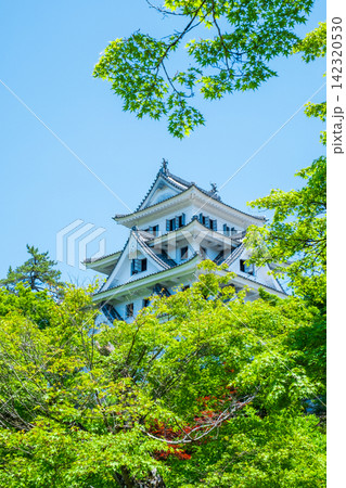 郡上八幡城 郡上八幡城 142320530