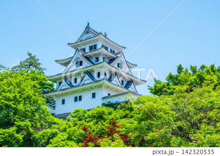 郡上八幡城 142320535