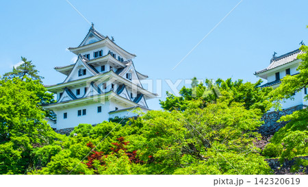 郡上八幡城 142320619