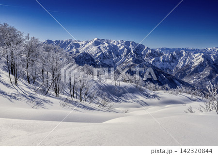 新雪の雪山 新雪の雪山 142320844
