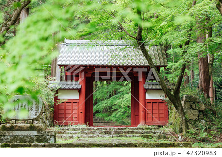【滋賀県東近江市】百済寺 赤門と新緑 【滋賀県東近江市】百済寺 赤門と新緑 142320983