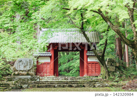 【滋賀県東近江市】百済寺　赤門と新緑 142320984