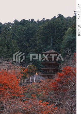 [長谷寺]真っ赤な紅葉が美しい！奈良の山奥にあるお寺の風景 142322087