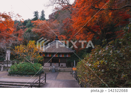 [長谷寺]真っ赤な紅葉が美しい！奈良の山奥にあるお寺の風景 142322088