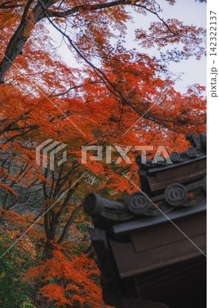 [長谷寺]真っ赤な紅葉が美しい！奈良の山奥にあるお寺の風景 142322137