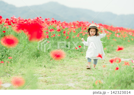 ポピー畑で遊ぶ3歳の女の子 ポピー畑で遊ぶ3歳の女の子 142323014