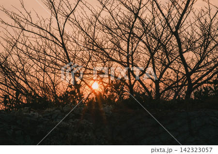 [伊丹スカイパーク]夕暮れ時の茜色の空へ！太陽が沈んでゆく風景 142323057